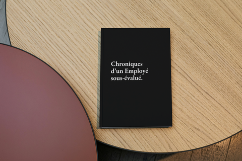 Chroniques d'un Employé sous-évalué