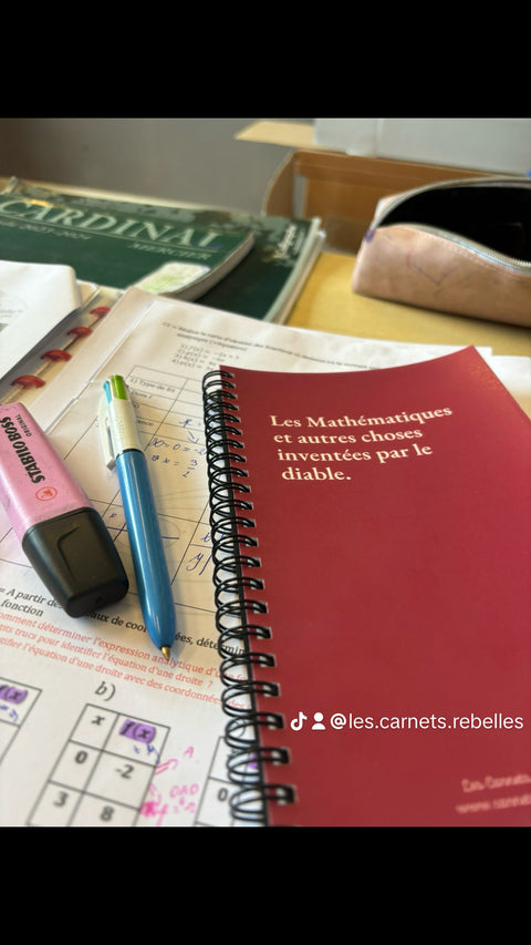 Les Mathématiques et autres choses inventées par le diable
